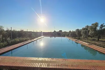 Image de Finca El Palmar: Nature, swimming pool, barbecue in the countryside