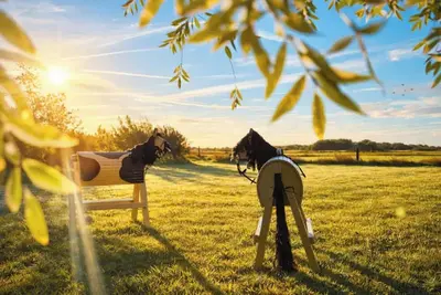 Image de Vacation apartment \"Süderhever\" - light, space and Nordic tranquillity