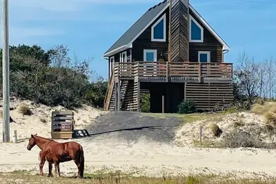 Image de Southern Swan wild horse retreat on the Corolla 4wd beach