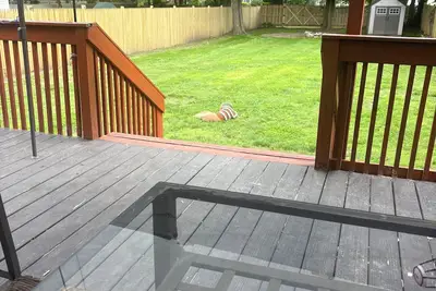 Image de Spacious 3-bedroom house in beautiful Hamden, minutes from Yale & downtown