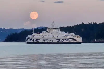 Image de Brand new spa resort style waterfront  executive home with luxury amenities