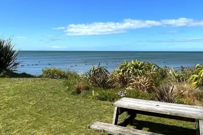 Image de Tui and Tide ~ Beachfront ~ Where Birds, Garden & Ocean Meet~Peacefully Relaxing