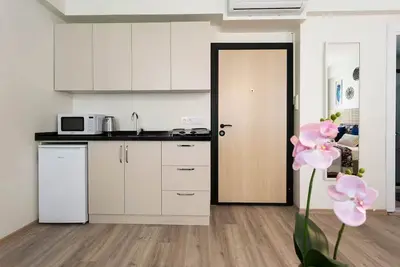 Image de Central Spacious Studio Apt near Istiklal Street