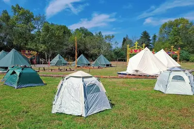 Image de Night Forest Bell By GEstores