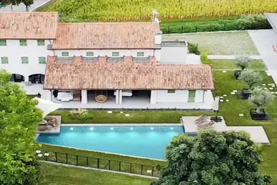 Image de Ficus Suite