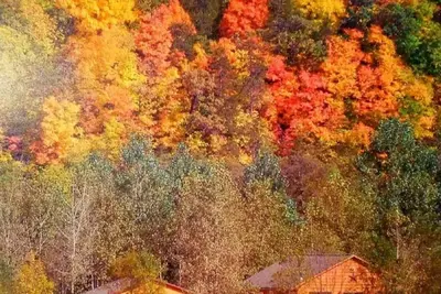 Image de Trout Lodge w/ Hot Tub and Trout Stream