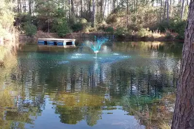 Image de Escape the city life and relax in the piney woods of east Texas.