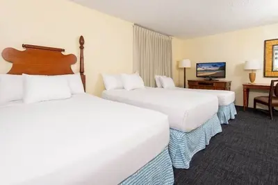 Image de Living the Hawaiian Dream! 3 Eye-Catching Units with City Views & Kitchen!