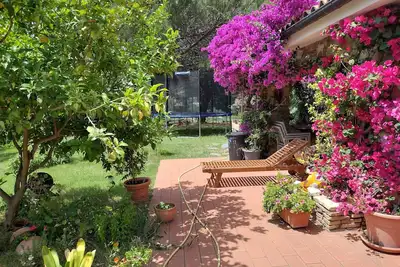 Image de Maison de vacances 'Petit Coin de Paradis' avec terrasse privée, jardin et Wi-Fi