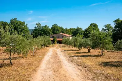 Image de Appartement acceptant les animaux domestiques à Prata avec vue panoramique