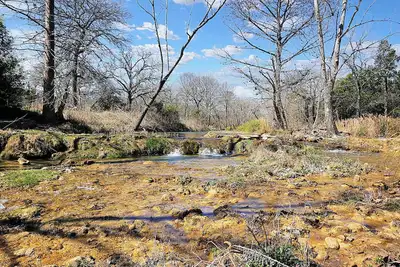 Image de Fox Hollow | Creekside Tiny House with Loft, Deck & Fire Pit in Wimberley