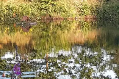 Image de House with lake view