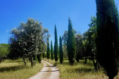 Image de Grande maison familiale dans la nature avec piscine privée au pied du Luberon