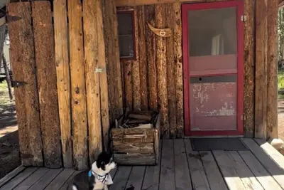 Image de Cabin #6 Perfect 1-bedroom rustic cabin in Gould for a cozy getaway