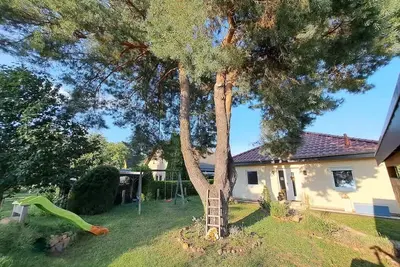 Image de Peaceful House near Lakes - Ron