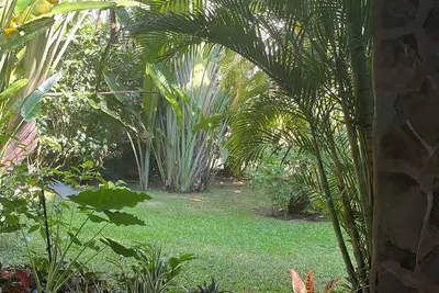 Image de Home  private pool in Opera Salvaje in a private garden oasisClose to the beach