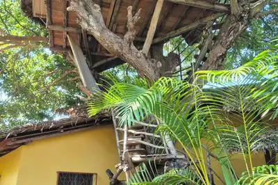 Image de Ambalamanga : grande maison avec tree house, à 200 m de la mer et des animations