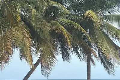 Image de House of the Yellow Butterflies-Self-Directed Legacy Retreat for Women of Faith