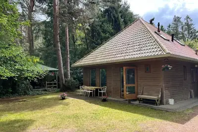 Image de Forest house  Rosa