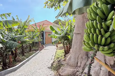 Image de 3-bedroom house in Bananeiras in the center of Funchal