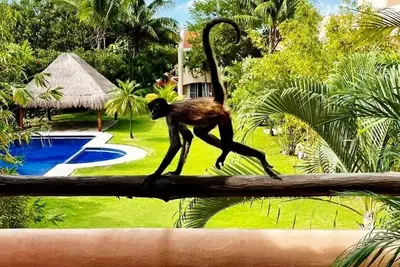 Image de Stand alone townhome in gated Puerto Aventuras, non smoking