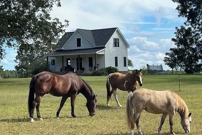 Image de Quiet Country Getaway 10 minutes from Lake Gaston