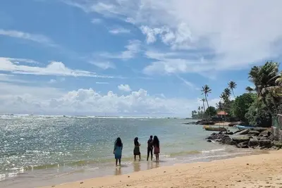 Image de The Oean View