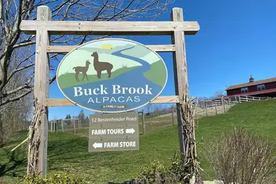 Image de Sleep above the alpacas! One-of-a-kind Catskills Loft! Amazing views, sleeps 6!