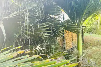 Image de Studio ds un cadre verdoyant à 15 min de la Zi de Jarry et à 2 min des rivières.
