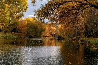 Image de Relaxing 2-bedroom cabin decorated with Coke Cola Theme,