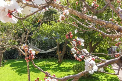Image de Maison individuelle à deux pas de la mer
