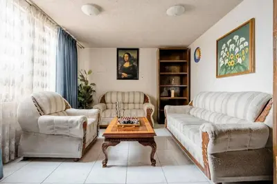 Image de Near Everything and a Some Art