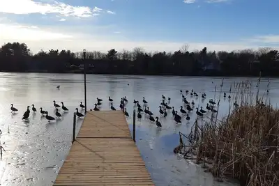 Image de Duck Chalet
