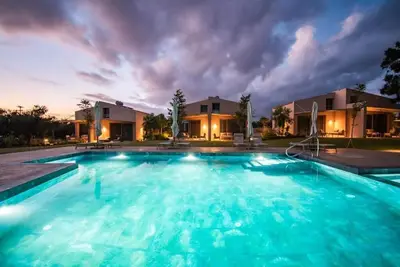 Image de helichrysum lofts