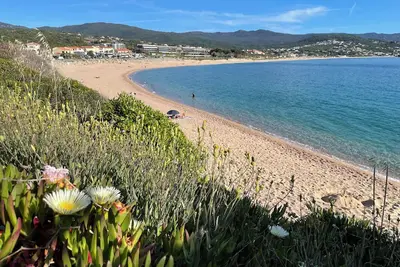 Image de Wonderful 2-bedroom apartment in welcoming Albitreccia near the beach