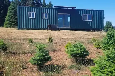 Image de Hot tub! sought out Christmas tree heaven experience. unique container.