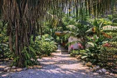 Image de Sloth House | Jungle Retreat W/ Pool In Nosara