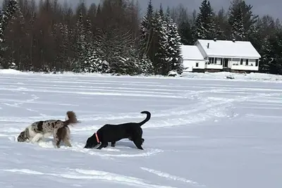 Image de Chalet 13 min de Tremblant versant nord, Lac Supérieur, foyer, spa, sur lac