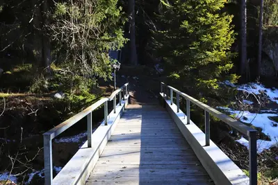 Forest Chalet with Private Bridge & Mountain View