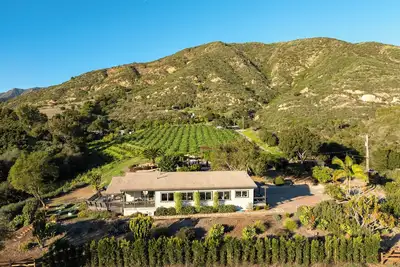 Image de Coastal Zen & Avocado Orchards: A Luxury Wellness tay