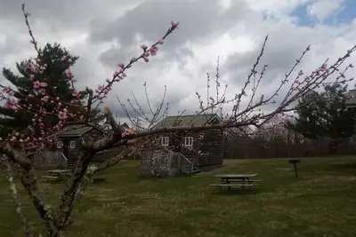 Image de Pet Friendly Camping Cabin on the Blue Ridge Parkway