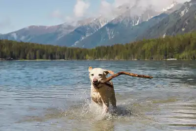 Image de Pet-Friendly Cabin w/ Hot Tub near Lake Koocanusa