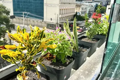 Image de Charms of the Historic Center of Manaus