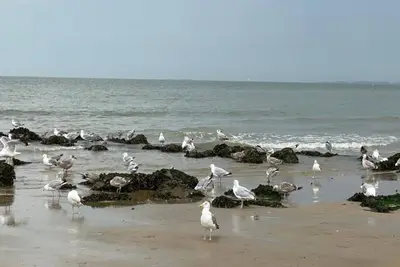 Image de Séjour côtier moderne à Knokke-Heist