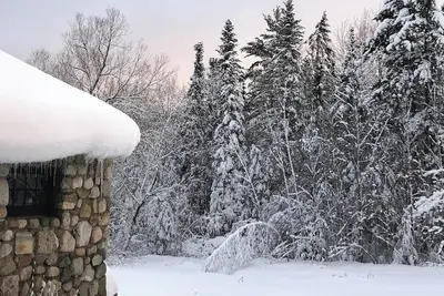 Image de Alpine Sanctuary ~ The Great Northern Tea Haus ~ European flair, woodland locale