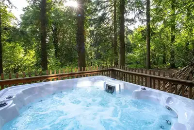 Image de Glentress Forest Golden Oak, Peebles