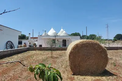Image de Trullo in Valle D'itria strategically located to visit the most beautiful villages