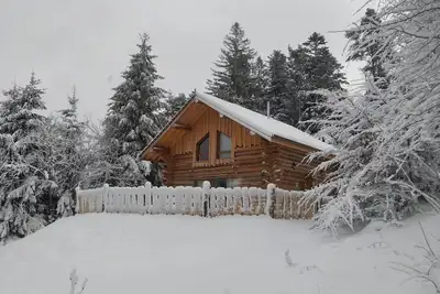 Image de Les Rondins du bois d'Eden - Chalet 8p