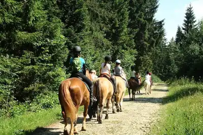 Image de Chalet 3 pièces- accueil lit bébé impossible- 5 personnes