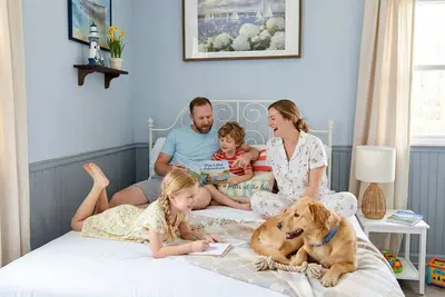 Image de Bright Open 1br with Large Dining Area near River